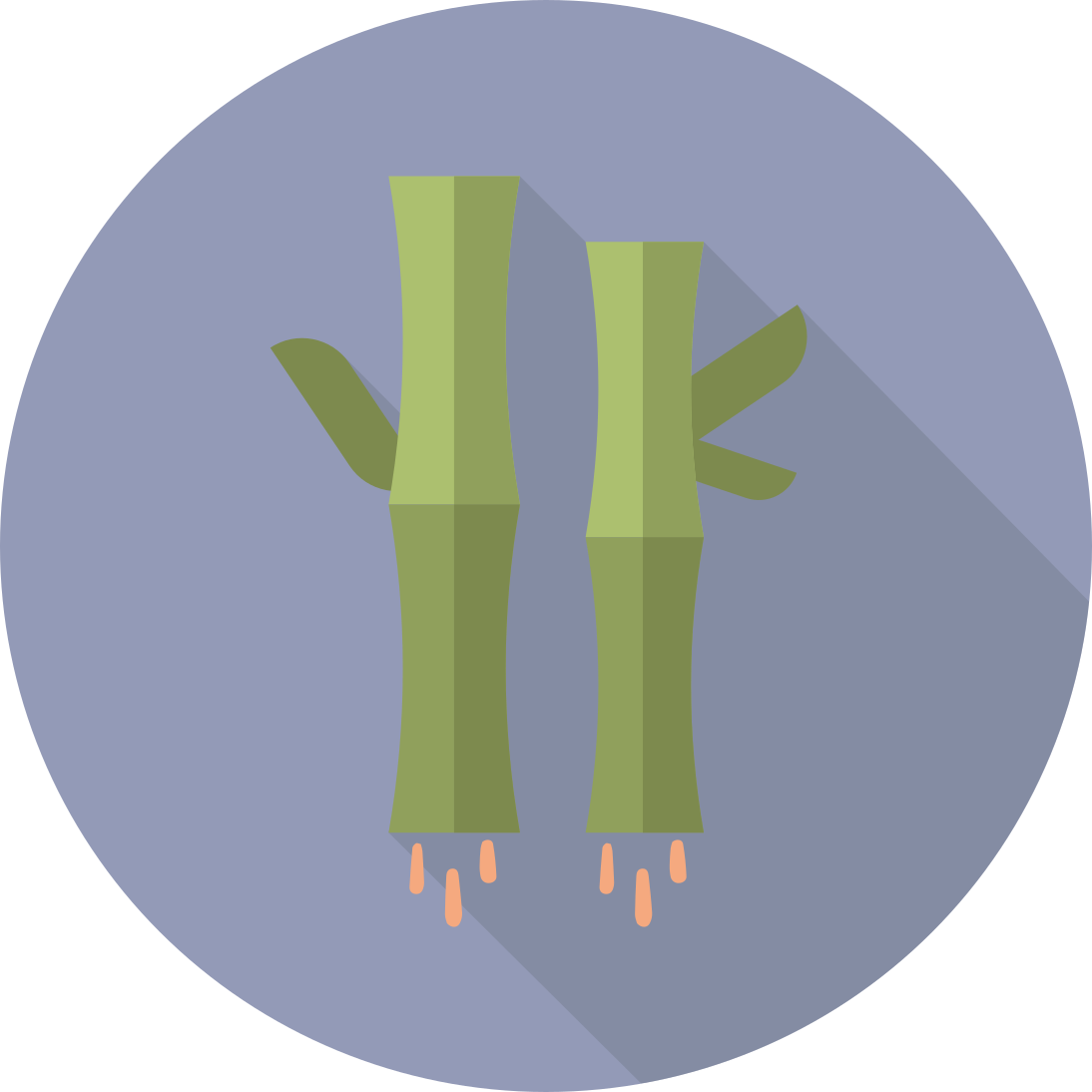 My Site Logo